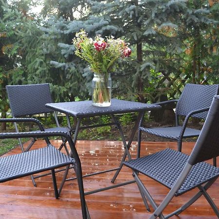Ferienwohnung Alexander Веймар Экстерьер фото